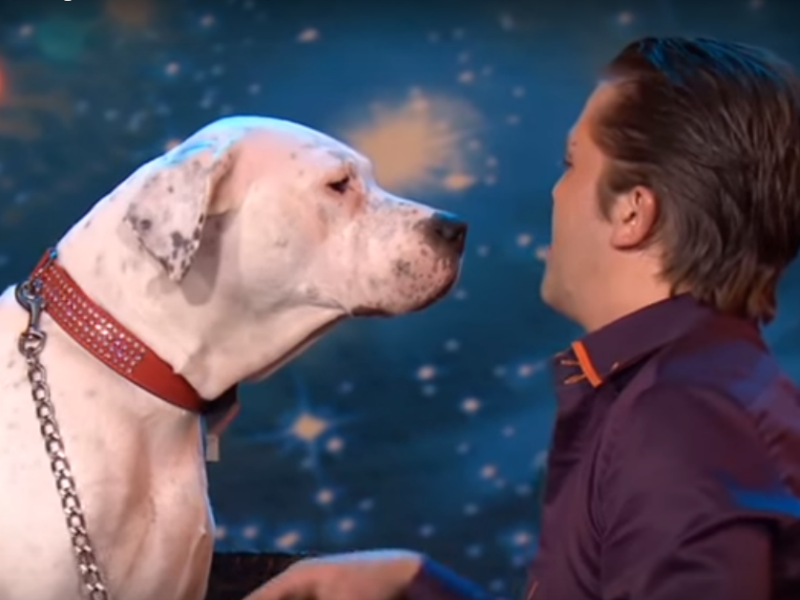 On ima talenat: Ovaj pas je oduševio svojim pevanjem! VIDEO