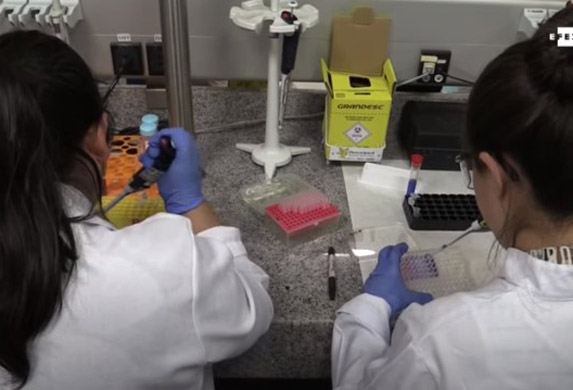 O ovome priča svet: Trenutak kada koronavirus ulazi u ćeliju! (VIDEO)