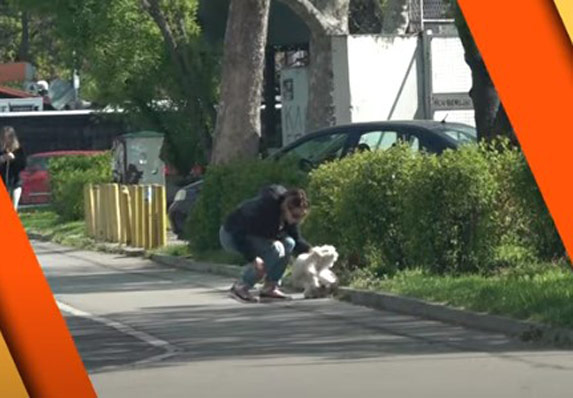 Marijana Mićić na ulici udarala svog psa! (VIDEO)