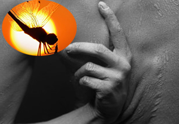 Komarci: Postoje potpuno prirodni načini da se spasite krvopija!