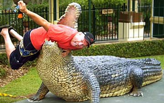 Turista pokušao da jaše krokodila