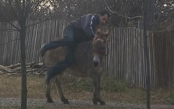 Farma: Ekrem upoznao magarca sa Lepom Lukić?! (Video)