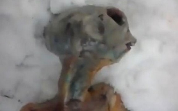 U Rusiji pronađeno telo vanzemaljca (Video)