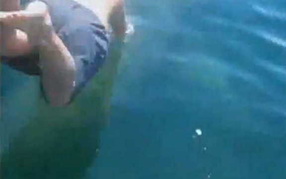 Skočio morskom psu na ledja (Video)