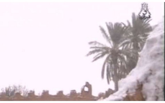 U Sahari pao sneg (Video)