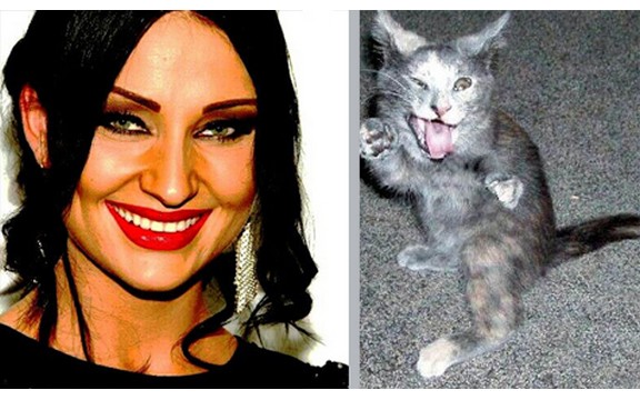 Katarina Živković šokirana na aerodromu: Pala mi je mačka od 20 kg na glavu!