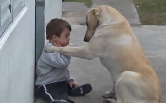 Snimak koji će vas raznežiti: Ljubav između labradora i dečaka sa Daunovim sindromom (Video)