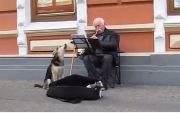 Duet: Pas lutalica peva sa uličnim sviračem! (Video)