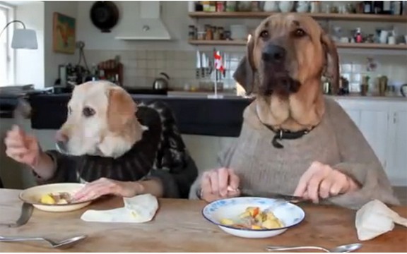 Pogledajte kako bi psi izgledali kada bi jeli u restoranu, sa sve nožem i viljuškom! (Video)