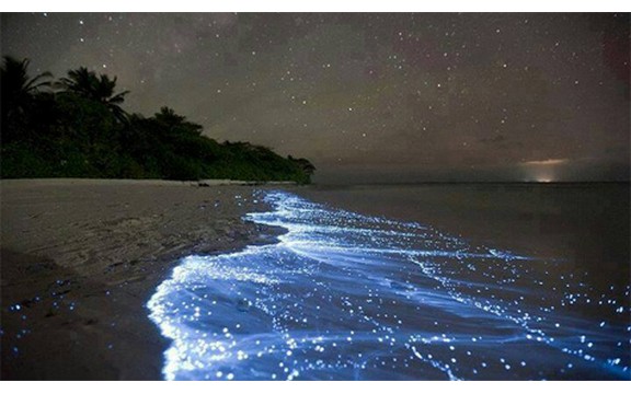 Prelepa majka priroda: Okean poput zvezdanog neba, kao rezultat bioluminiscencije na Maldivima (Foto+Video)