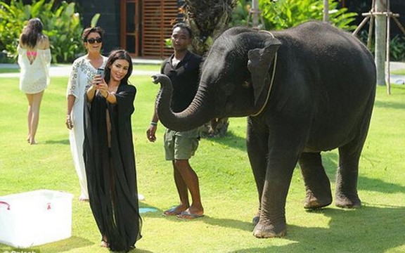 Nije joj uspelo ovaj put... Kim Kardašijan napao slon na Tajlandu! (Foto)