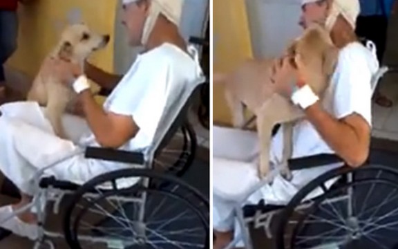 Dirljiv susret vernih prijatelja: Pas čekao bolesnog vlasnika osam dana ispred bolnice (Video)