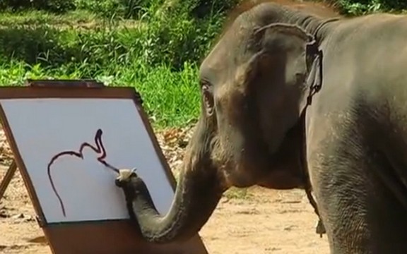 Slon slika slona: Pogledajte neverovatan video Sude koja slika autoportret (Video)