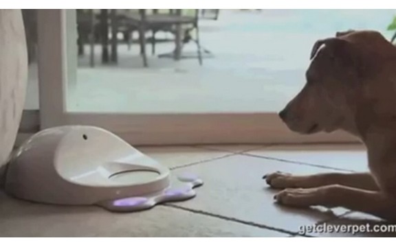 Konzola za pse - sada i vaši psi mogu da igraju igrice (Video)