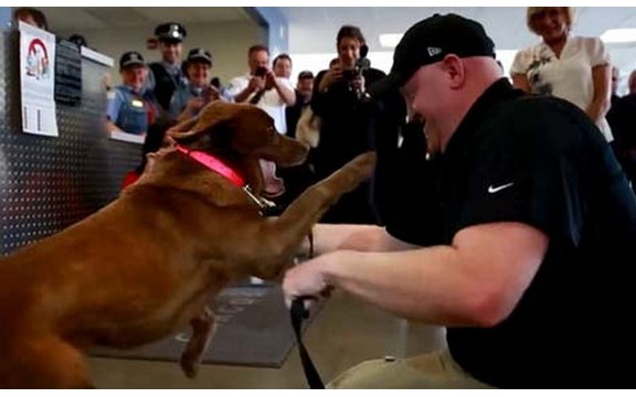 Vojnik se ponovo sreće sa ratnim drugom - ponovni susret čoveka i psa će vas raznežiti (Video)