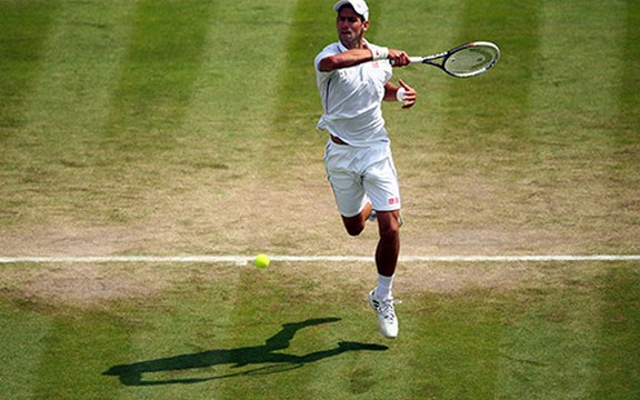 Novak Đoković u finalu Vimbldona!