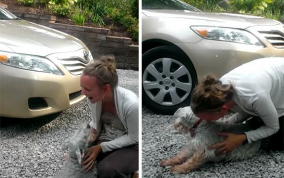 Dirljiv susret: Pogledajte šta se dogodi kada pas posle dve godine vidi gazdaricu (Video)