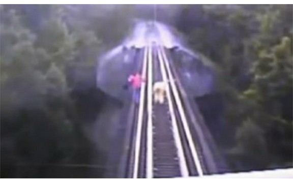 Izbegle sigurnu smrt: Bacile se pod voz da bi preživele! (Video)