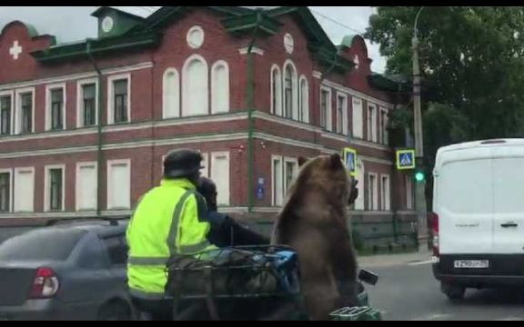 Ovakvu scenu još niste videli: Medved na motoru! VIDEO