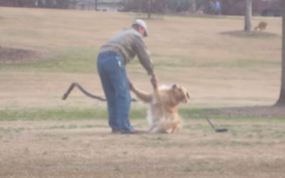 E ovo se zove razmaženost: Pogledajte kako se pas ponaša kad neće da krene kući iz parka! VIDEO