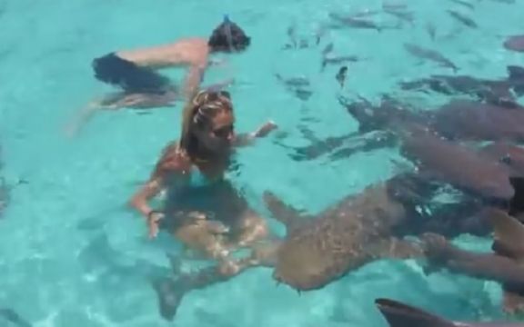 Upala je u bazen sa ajkulama, a njihova reakcija je neverovatna! VIDEO