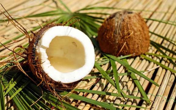 Kokosovo ulje kao lek: Kako i za šta ga koristiti?