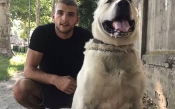 Procurila slika: Veljko Ražnatović optužen da zlostavlja svog psa, a oglasio se i on!