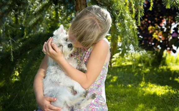Terapija ljubavlju! Pas će vas osloboditi depresije i vratiti u život!