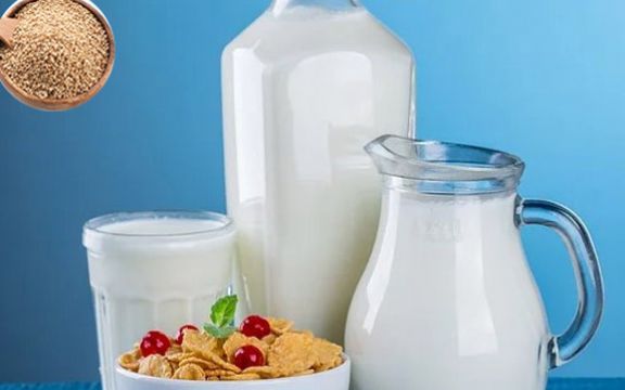 Napravite mleko od susama! Za jake i zdrave kosti! (RECEPT)