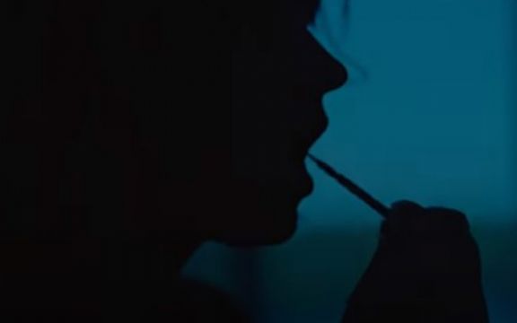 Zastrašujuće, film Swallow: Šta kada trudničke želje pređu granicu? 