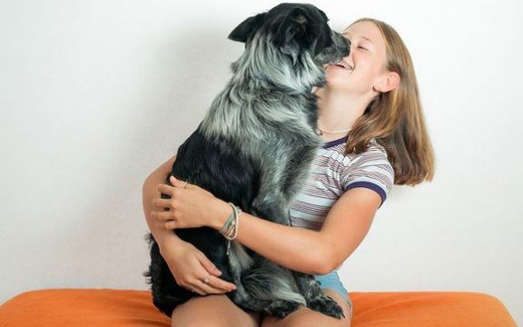 Kako pas pokazuju ljubav? Iznenađujući načini!
