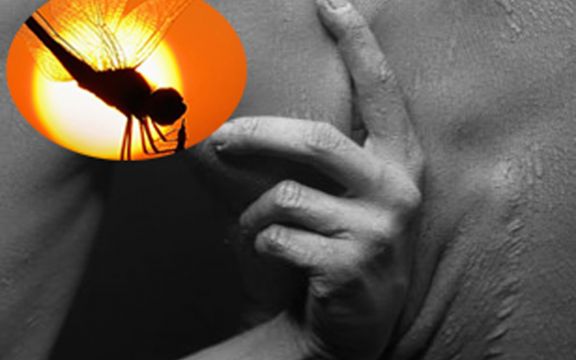 Komarci: Postoje potpuno prirodni načini da se spasite krvopija!
