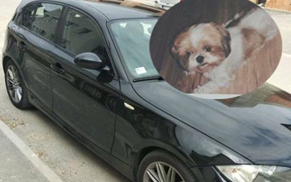 Očajni čovek daje svoj BMW onome ko mu vrati psa!