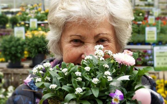 Da li ste znali kako cvećari vraćaju cveće u život?!