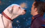 On ima talenat: Ovaj pas je oduševio svojim pevanjem! VIDEO