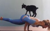 Smešno ili genijalno: Ona radi jogu sa kozom na leđima! VIDEO