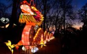 Tradicija se nastavlja: Kineski festival svetla u Beogradu i Novom Sadu!