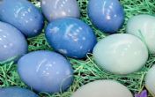 Kraljevska i pastelno plava boja za jaja! Bez hemije! (RECEPT)