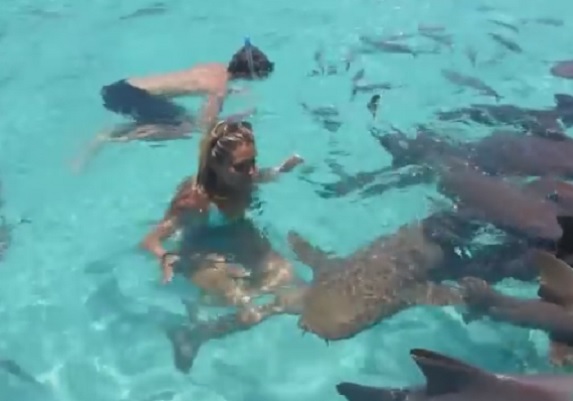 Upala je u bazen sa ajkulama, a njihova reakcija je neverovatna! VIDEO