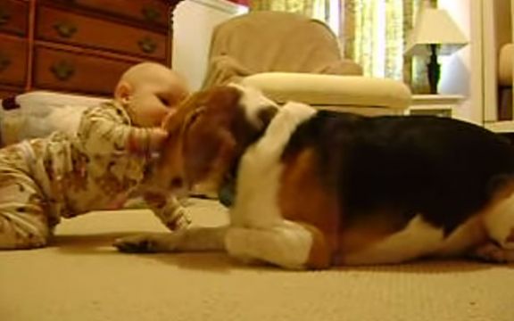 Pogledajte prvi susret bebe i psa! VIDEO
