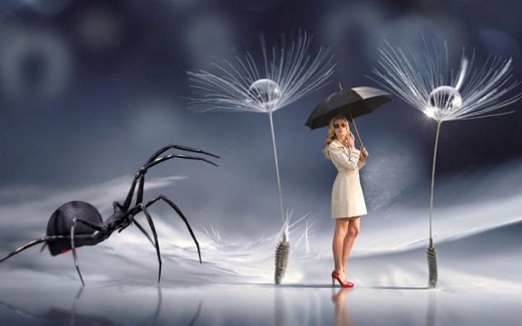Pauci i paukova mreža: Rešite ih se zauvek!