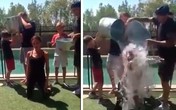 Viktorija Bekam se polila ledenom vodom i izazvala Kejti Holms! (Video)