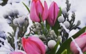 Na šta sluti sneg u aprilu? Staro narodno verovanje otkriva!